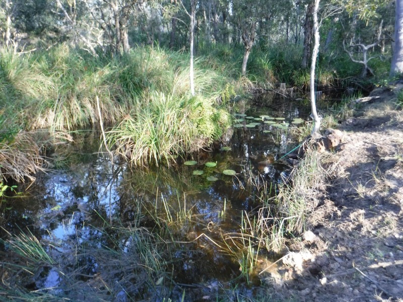 111 Ward Road, Yengarie QLD 4650