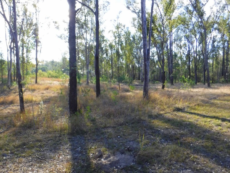 111 Ward Road, Yengarie QLD 4650