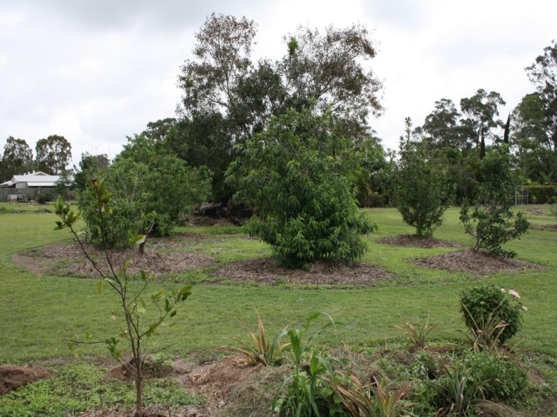 187 Gayndah Road, Maryborough West QLD 4650