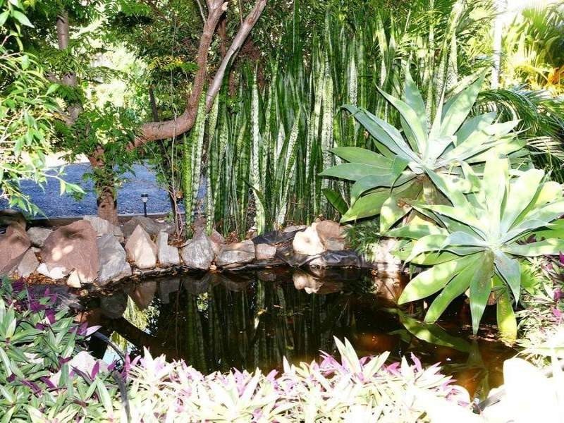 61 Dundas Street, Granville QLD 4650