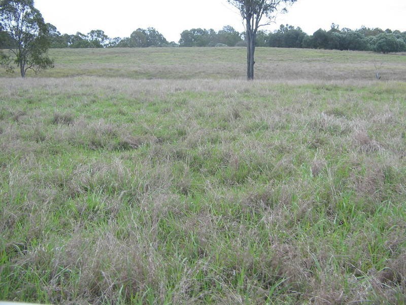 33 River Road, Tinana QLD 4650