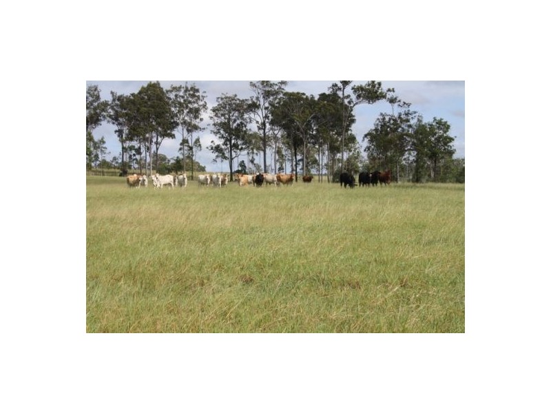 1838 Maryborough Biggenden Road, Dunmora QLD 4650