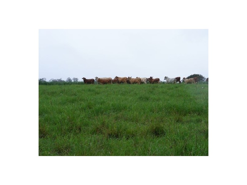 247 Lawson Street, St Helens QLD 4650