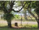 162 Tuan Esplanade, Tuan QLD 4650