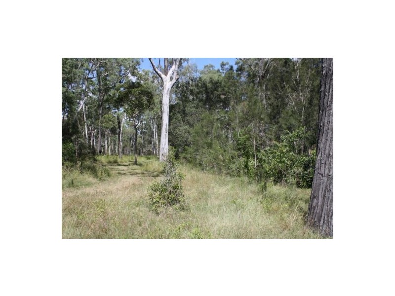 Walkers Point QLD 4650