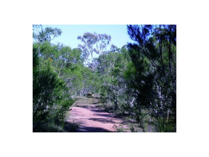 269 Pacific Haven Circuit, Pacific Haven QLD 4659