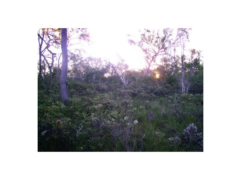 269 Pacific Haven Circuit, Pacific Haven QLD 4659