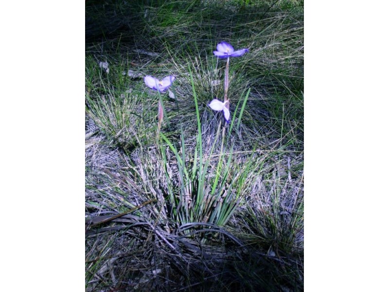 269 Pacific Haven Circuit, Pacific Haven QLD 4659