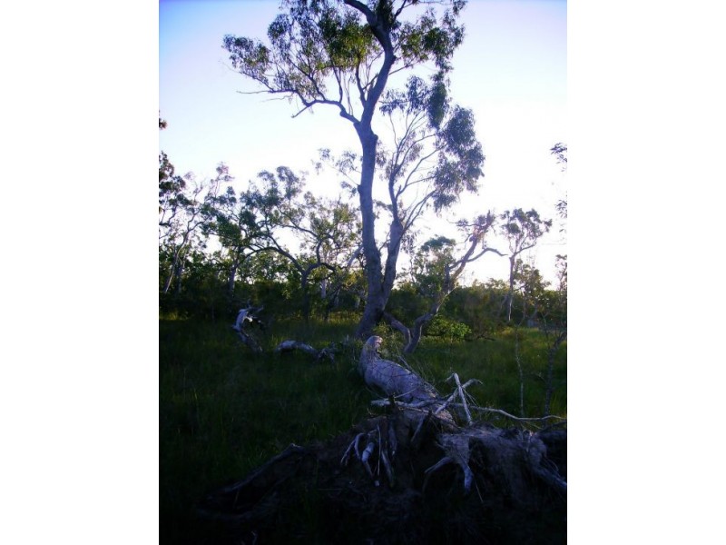 269 Pacific Haven Circuit, Pacific Haven QLD 4659