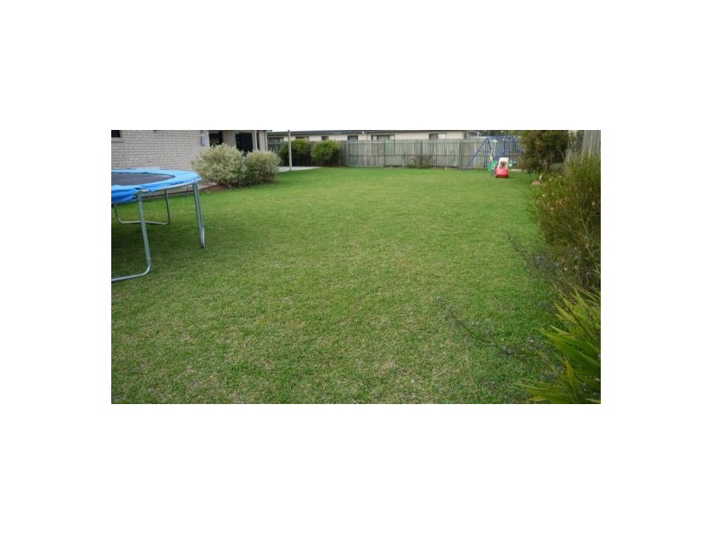 Tinana QLD 4650