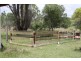 98 Dunford Road East, Grahams Creek QLD 4650