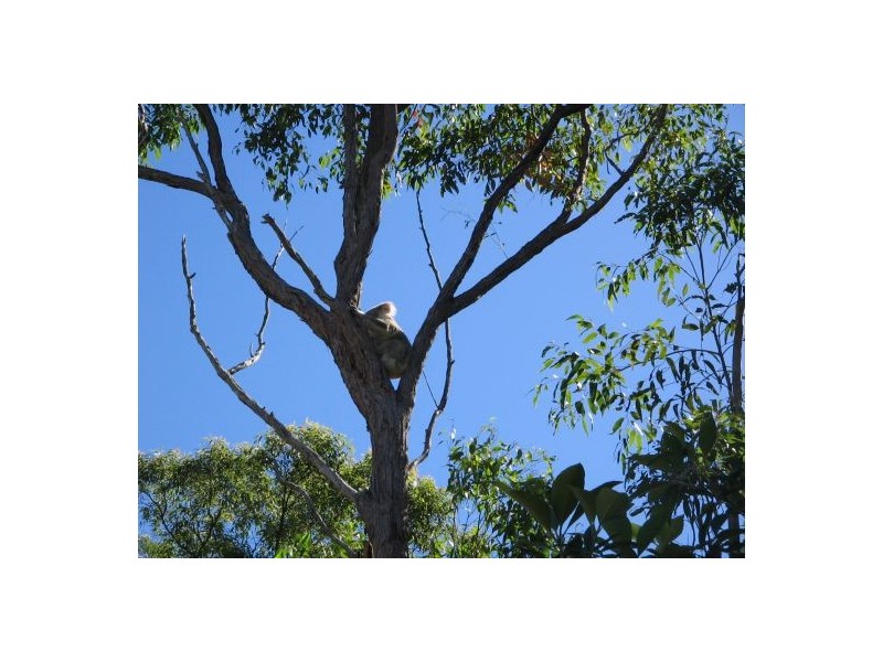 139 Berallan Drive, Maryborough QLD 4650