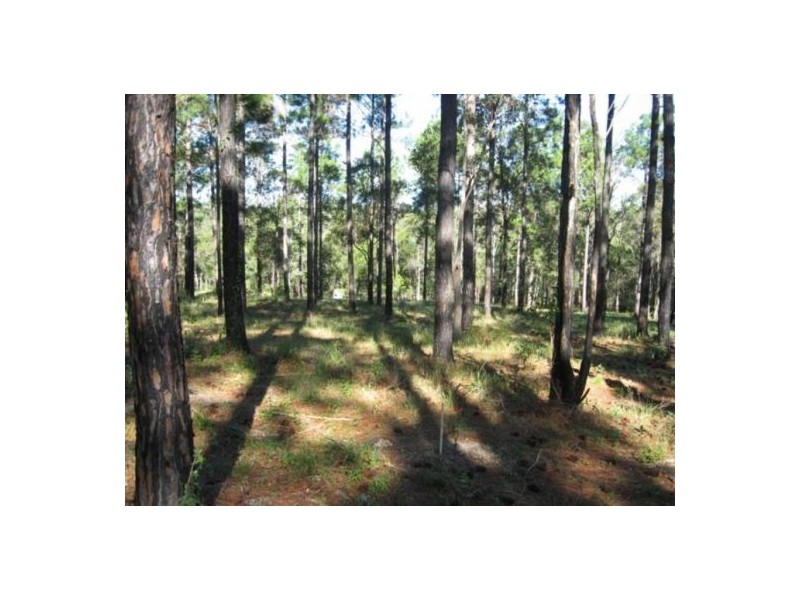 695 Arbor Twenty Six Road, Glenwood QLD 4570