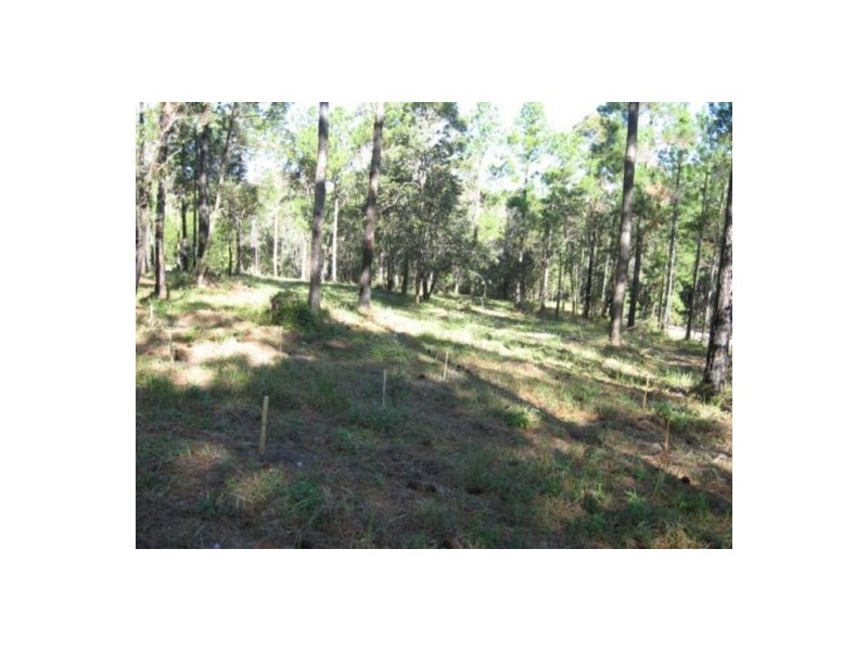 695 Arbor Twenty Six Road, Glenwood QLD 4570