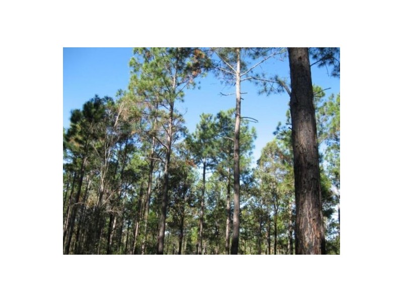 695 Arbor Twenty Six Road, Glenwood QLD 4570