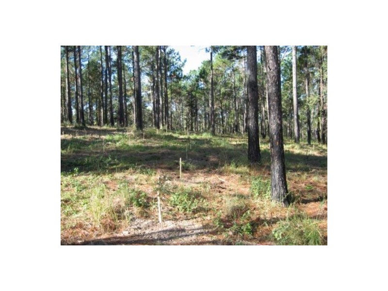 695 Arbor Twenty Six Road, Glenwood QLD 4570