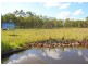 The Meadows Estate, Oakhurst QLD 4650