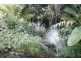 2 Cardigan Street, Granville QLD 4650