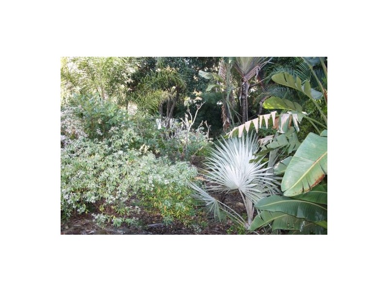 2 Cardigan Street, Granville QLD 4650