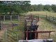 728 Netherby Road, Netherby QLD 4650