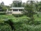 35 Bee Creek Road, Eungella QLD 4757