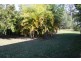 169 Philip Drive, Teddington QLD 4650