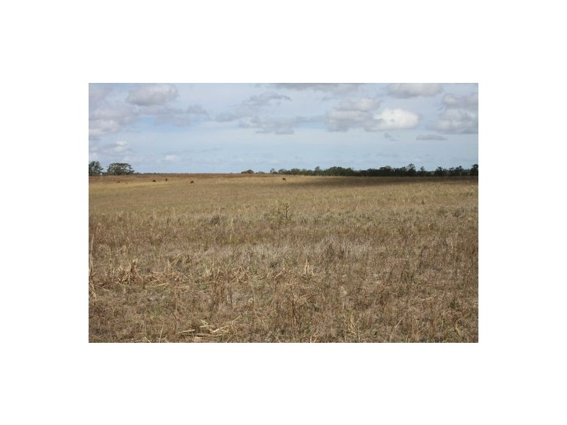 405 Nerada Road, Tinana QLD 4650