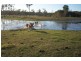 637 Noble Road, Susan River QLD 4655