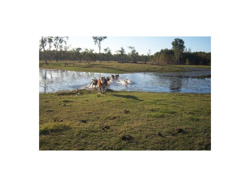 637 Noble Road, Susan River QLD 4655