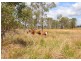 637 Noble Road, Susan River QLD 4655