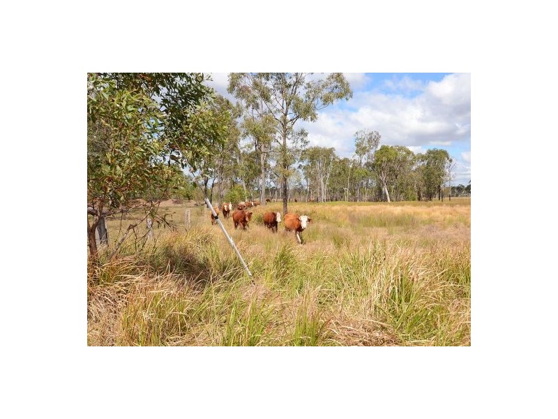 637 Noble Road, Susan River QLD 4655