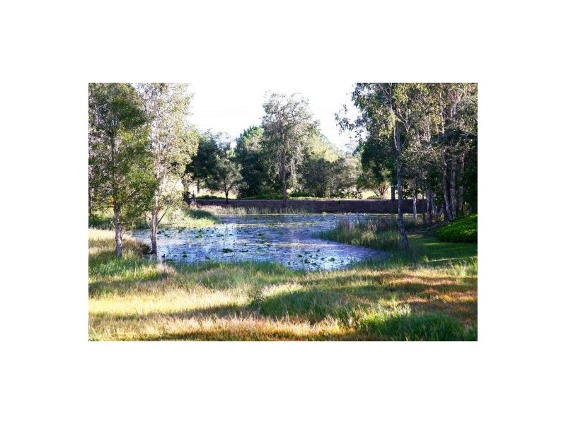175 Langer Road, Bidwill QLD 4650