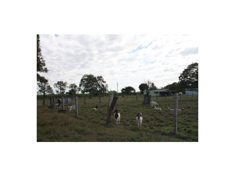 1143 Bidwill Road, Magnolia QLD 4650