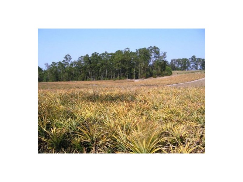 170 Old Mill Road, Yengarie QLD 4650