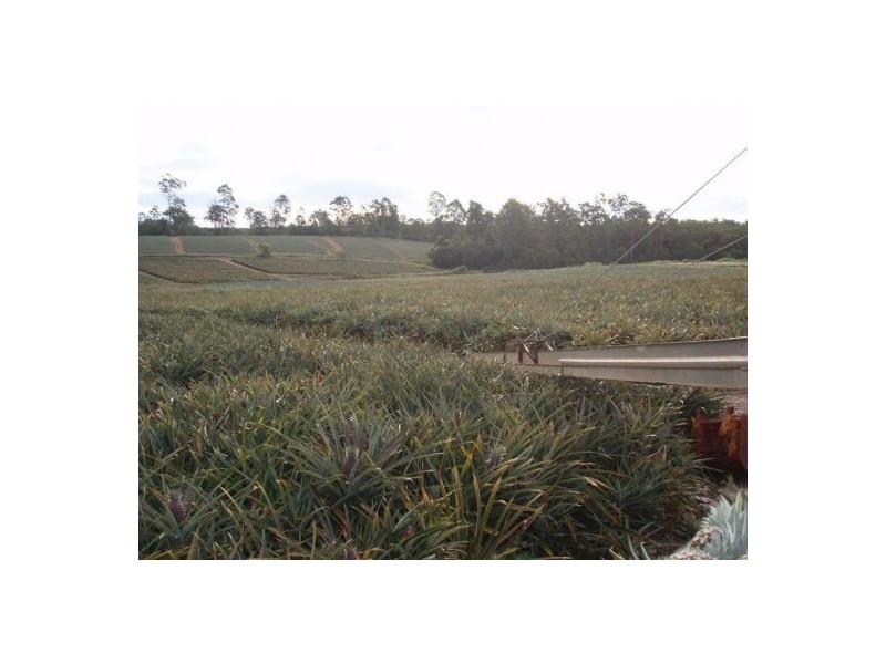 170 Old Mill Road, Yengarie QLD 4650