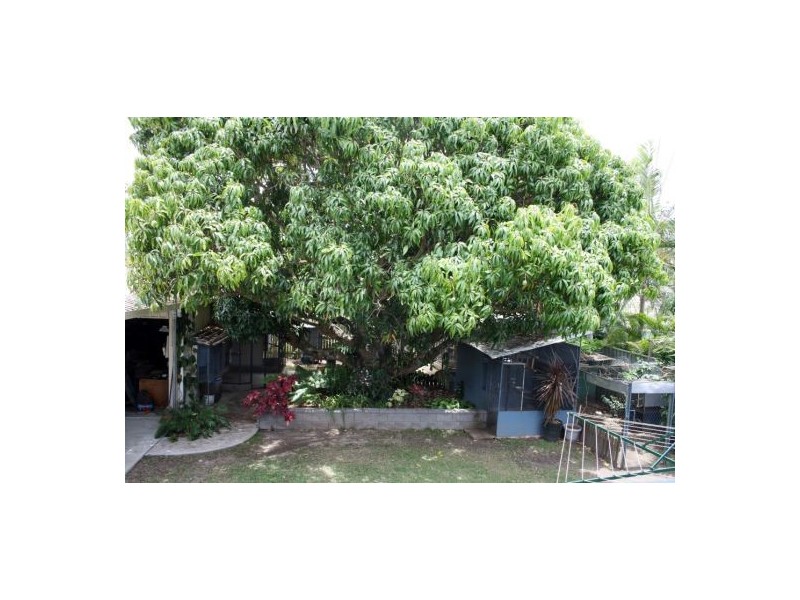 6 Crown Street, Maryborough QLD 4650