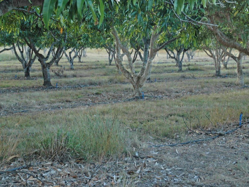 83 Llewellyn Road, Bloomsbury QLD 4799