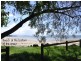 320 Shoal Point Road, Shoal Point QLD 4750