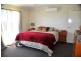 590 Farleigh Habana Rd, Habana QLD 4740