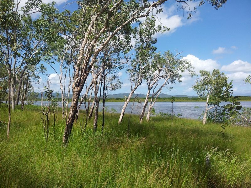 24 Murphy St, Seaforth QLD 4741