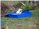 24 Murphy St, Seaforth QLD 4741