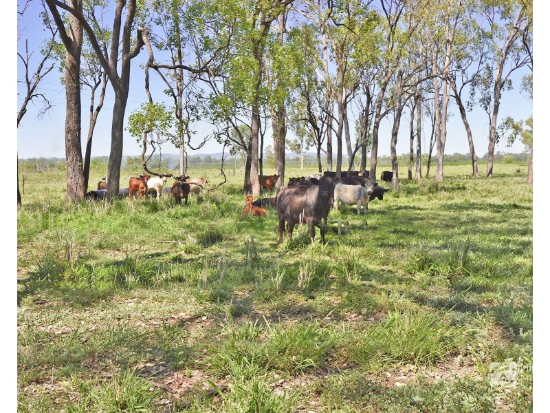 Lot 7-8/70 Tan Drive, Biloela QLD 4715