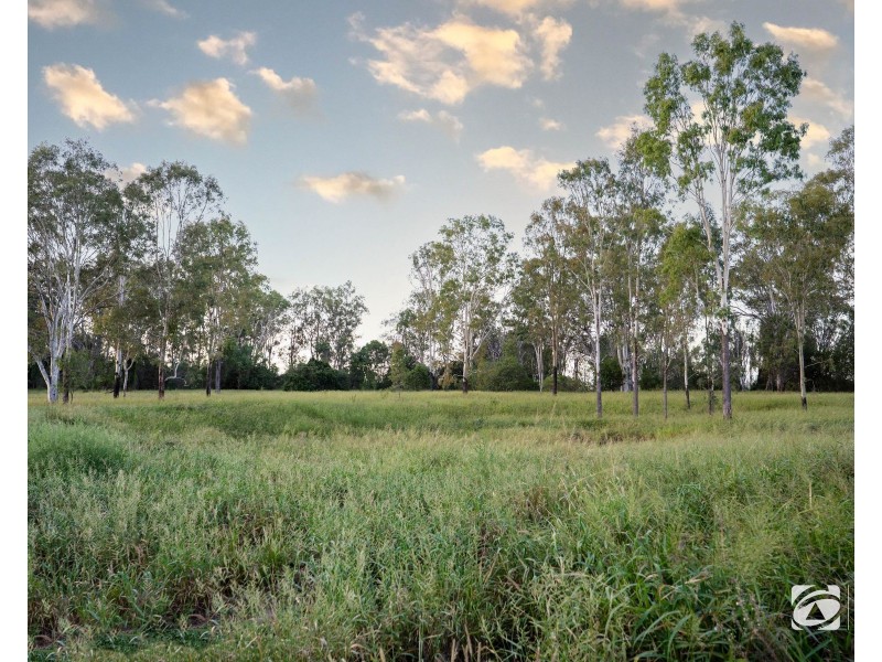 173 Saras Lane, Prospect QLD 4715