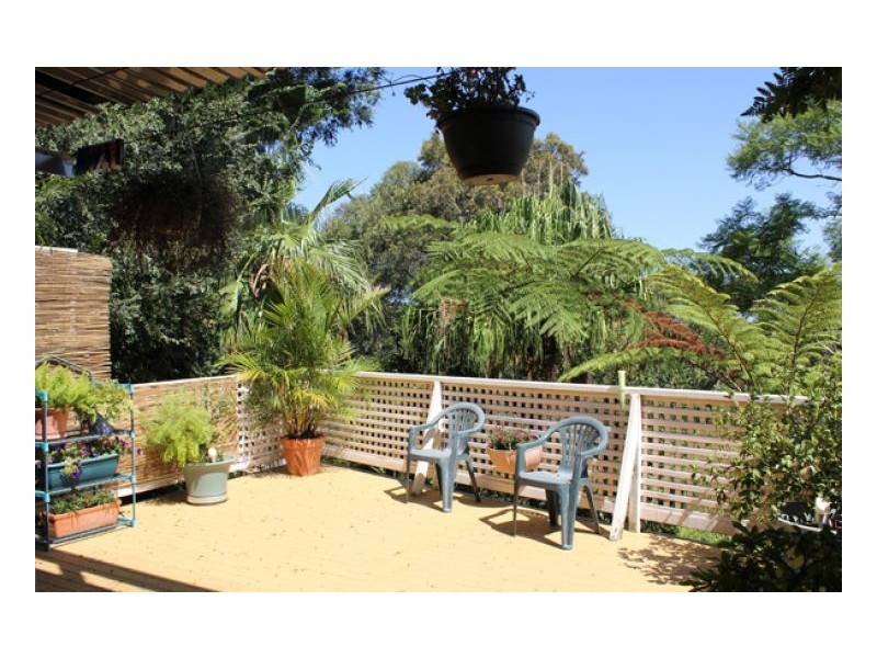 45 Wallumatta Road, Newport NSW 2106