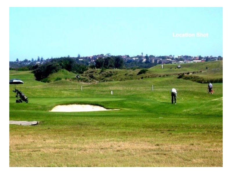 27 Suffolk Avenue, Collaroy NSW 2097