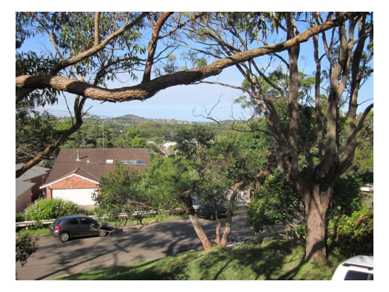 24 Taiyul Road, North Narrabeen NSW 2101