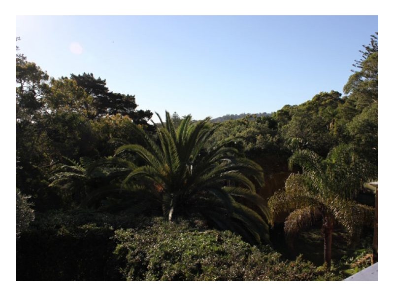 151 Barrenjoey Road (down quiet driveway away from main road), Newport NSW 2106