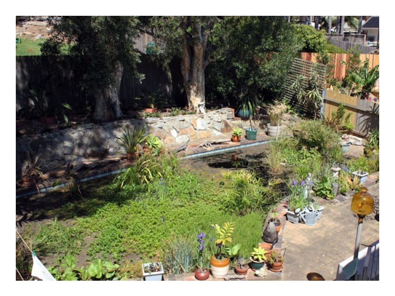 17 Sydney Road, Warriewood NSW 2102