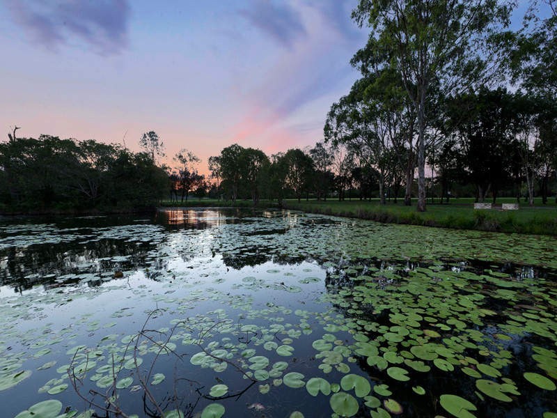 21 Rushworth Street, Bald Hills QLD 4036