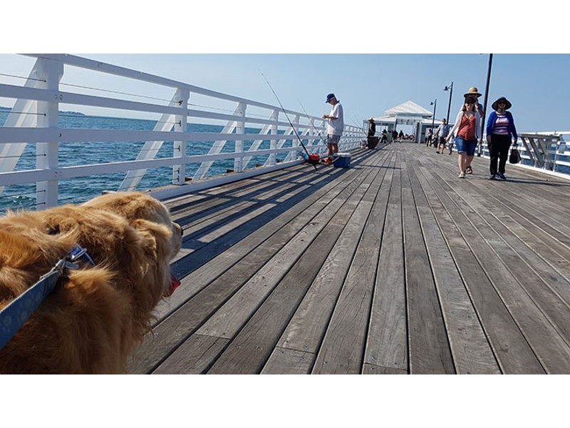 578 Flinders Parade, Brighton QLD 4017